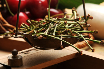 இலைக்காம்பு తొడిమ Petiŏlus Picciolo Blatt Pecíolo Pecíol...