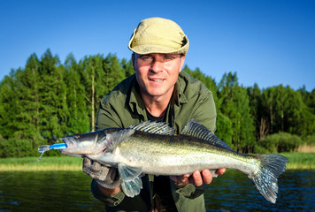 Walleye summer fishing in Scandinavia