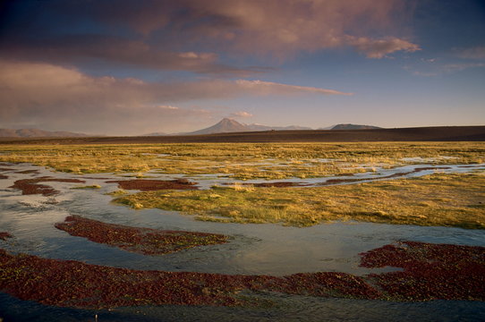 Landscape in the Isluga area of the Atacama Desert, Chile