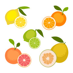 Set of fruits