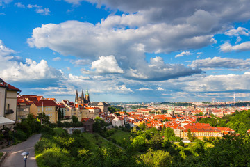 Fototapeta premium Panorama of Prague from Petrin gardens, Castle and St. Vitus cathedral visible of the left, bridges and Vltava river in the background, Czech Republic