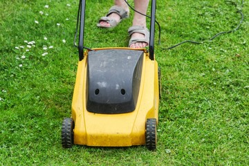 Woman moves with electric lawnmower and mows green grass