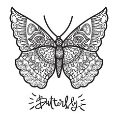 Beautiful illustration of butterfly isolated on a whire background