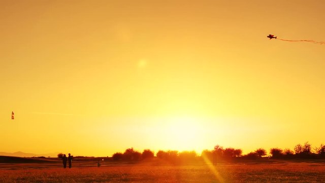 4K Man and Boy Flying Kite Together at Golden Hour at Park, Sunset Silhouette