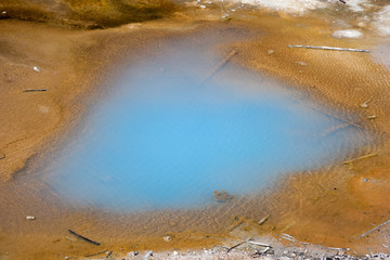 Norris Geyser Basin at Yellowstone National Park, Wyoming,  USA