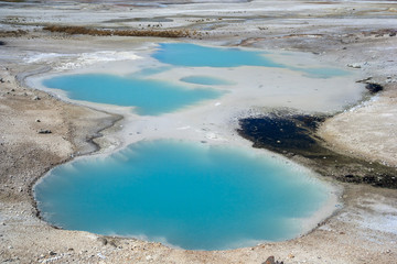 Colloidal Pool at Norris Geyser Basin at Yellowstone National Park, Wyoming,  USA