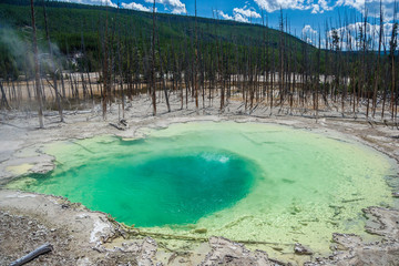 Green Cistern Spring In The Norris Geyser Basin at Yellowstone National Park, Wyoming,  USA