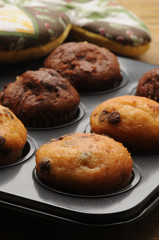 మఫిన్ ಮಫಿನ್ מאפין 머핀 Мъфин Queque Bocaire Muffin 玛芬 Mafino Мафін مافین Mustikkamuffinssi Muffini Muffins マフィン Маффин Vaniglia Mafin Cioccolato 美式鬆餅 Plum cake