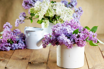 Lilac flowers