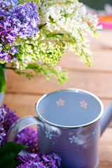 Purple and white lilac bunch with watering can