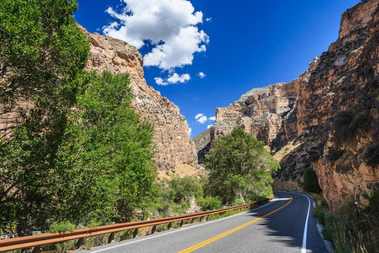 Bighorn National Forest In Wyoming,  USA