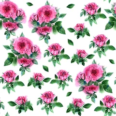 Fotobehang Summer Seamless Watercolor Pattern with Pink Roses on a White Background © Natali_Mias