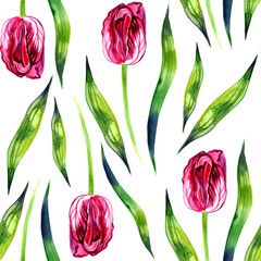 Red tulips on the white background. Watercolor seamless pattern with spring flowers.