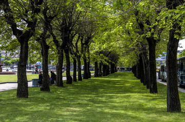 Green alley near the highway