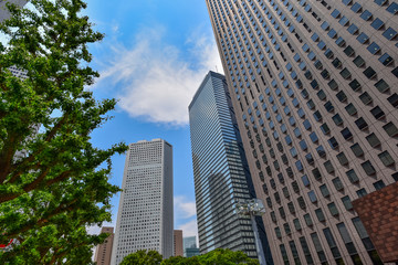 東京・新宿のオフィス街　快晴