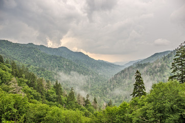 Fototapeta na wymiar Newfound Gap in Great Smoky Mountains National Park