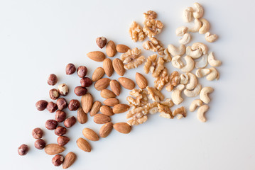 High angle view of hazelnuts, almonds, walnuts and cashews scattered on a white background