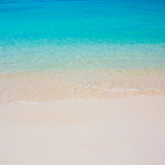 beach and tropical sea