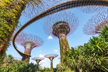 Outdoor-Kissen Singapore Gardens by the Bay © hit1912