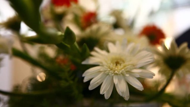 Micro shot of the Flowers