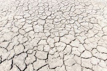 dry salt on the skin land