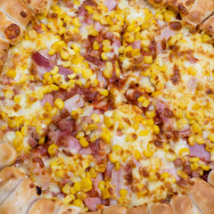 Obraz na płótnie Canvas Delicious pizza