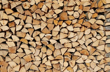 logsof a woodpile in the Woodshed