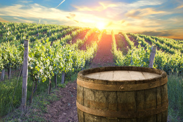 Red wine with barrel on vineyard in green Tuscany, Italy