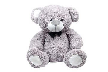 brown teddy bear isolated