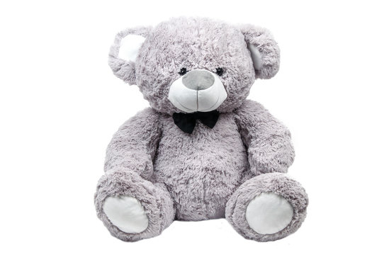 Naklejki brown teddy bear isolated