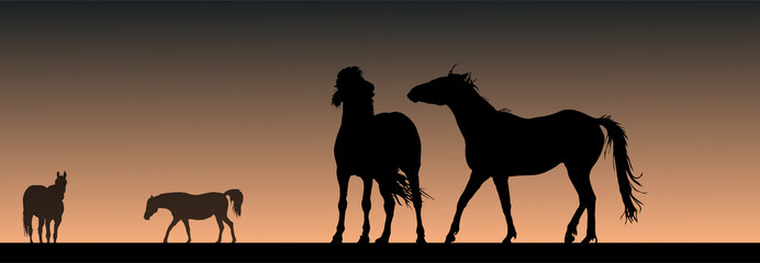 Pferde bei Gewitterstimmung - Illustration