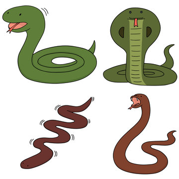 vector set of snake