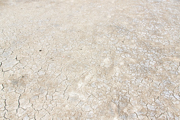 dry salt on the skin land