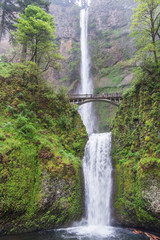 Fototapeta premium Multnomah Falls, Oregon, USA