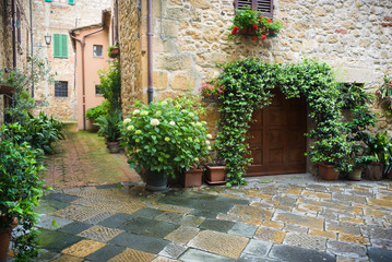 Flowery streets on a rainy spring day in a small magical village