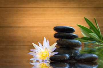 Spa still life with water lily and zen stone
