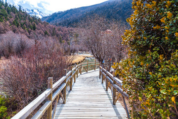 Wooden walkway along the lake, with pine trees and mountains