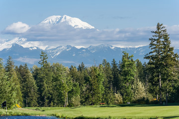 Fototapeta na wymiar View of Mount Rainier summit, Washington, USA