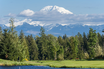 View of Mount Rainier summit, Washington,  USA - 113137290