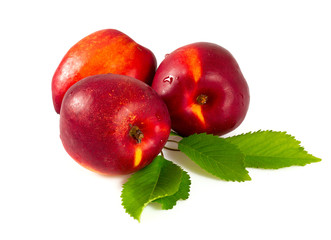 ripe nectarines in a wooden bowl isolated on white