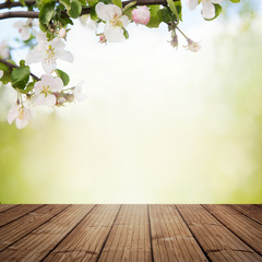 Naklejka na ściany i meble Branch of Apple blossoms with wooden planks
