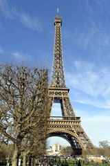 Fototapeta na wymiar PARIS