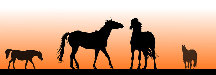 Pferde - Illustration