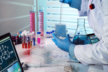 biochemical engineer working with microplate in a laboratory experiment / researcher working in a...