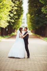Naklejka premium the newly married couple kissing at alley in park