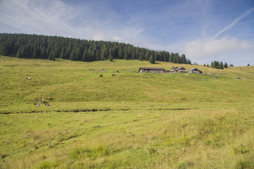 Meadow with buildings on the Asiago Plateau in Italy