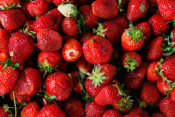 Fresh ripe strawberries