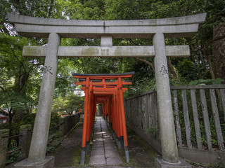 Fototapeta na wymiar Tokyo Nedu--Shinto-shrine