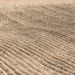 Sand texture for background