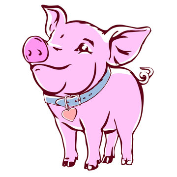 Happy baby pig with collar. Joyful young swine colorful vector sketch isolated on white.